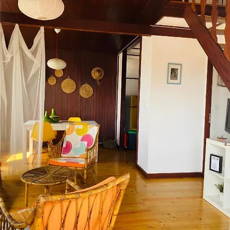 בית נופש Palheiro House *